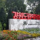 그린때때 이미지
