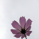 채석포항 이미지