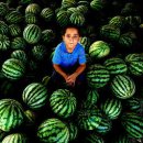 달빛소리모텔 이미지