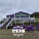 카페 반월 Daum카페