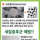 송학현대 이미지