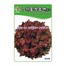 씨앗 - 남양주시 덕소로116번길 11 | 씨앗