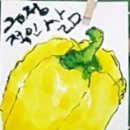 에테가미 이미지