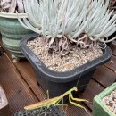 용등농장 이미지