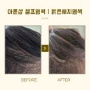 아론 | 아론샵 새치염색 셀프염색 후기 | 집에서 간편하게