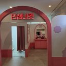 히어로즈축구클럽히어로즈스포츠