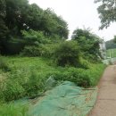 우회도로삼거리(우) 이미지