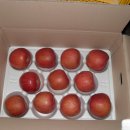 덕암농원 이미지