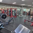 육체미 휘트니스 이미지