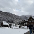 [시라카와고] 산타마을 자유(버스투어X) 설경 성공 후기! 아름다운 세계문화유산 동화 같은 풍경