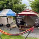 무릉도원면-11 이미지