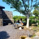 스테이애옥 이미지