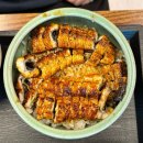 힘력풍천장어 | 삼척맛집 힘력풍천장어 점심특선 장어덮밥