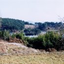 범방동 패총 | 범방동 패총 (凡方洞 貝塚)