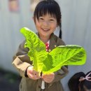 예쁨유치원 이미지