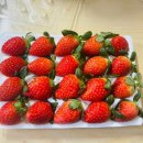 다한농장 이미지