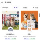 이지케어 | 네이버 멤버십 사용중이라면? 펫바우처! 조공 이지케어 이너프 솔직 후기