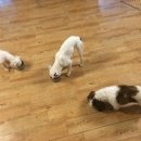 준독트레이닝센터 이미지