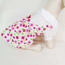 이쁜 댕댕이 이미지