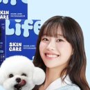 예전라이프 이미지