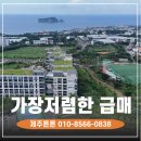제주튼튼공인중개사사무소 이미지