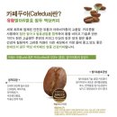 유황커피