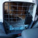 호야켄넬 이미지