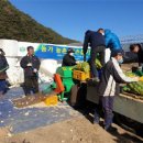 인제군농업기술센터 이미지