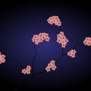 도봉헬스클럽 이미지