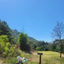 팔당냉면(진접점) 이미지