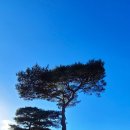 고창공설운동장 이미지