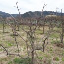 송원 공인중개사사무소 이미지