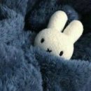 (주)유알지 이미지