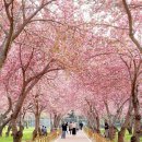 웅동수원지 이미지