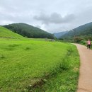 명덕지 이미지