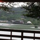칠 곡 네이버블로그