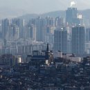 나라부동산중개사무소 이미지