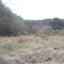 시곡2리 마을회관 이미지