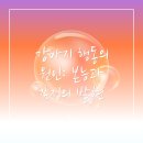 영통동물병원 이미지