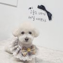 원미용실 이미지