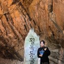 동굴로 | 충주 대유잼 관광지 활옥동굴 (카약, 와사비 아이스크림 후기)