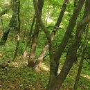 봉원슈퍼 이미지