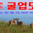 12/25(토) 사슴이 뛰어노는 천혜의 비경 굴업도 1박2일. ★펜션숙박★ 이미지