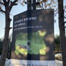 힐링(Healing) PC cafe | [남양주] 남양주맛집 야외바베큐파티, 아유 스페이스