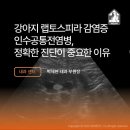 임수의과병원 | 강아지 40도 고열과 급성 신부전 : 렙토스피라증 (Leptospirosis) 진단 및 치료 케이스 [노아동물메디컬...