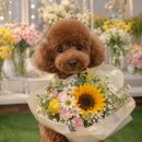 경기도 수원시 팔달구 인계로166번길 48-21 (인계동) | 수원 인계동 꽃집 추천, 가격 부담 적은 초코엄마 단골 그순간꽃 꽃다발 후기