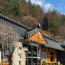 계정횟집 | [양평 송어회 전문] '계정횟집' - 신선한 송어회 맛집 후기 (애견동반o)