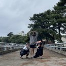 성산일출봉 주차장 이미지