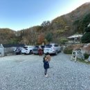 석달열흘가리 이미지