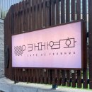 연화카페 | 반려동물 동반이 가능한 브런치카페 거제 수양동 연화카페 내돈내산 후기